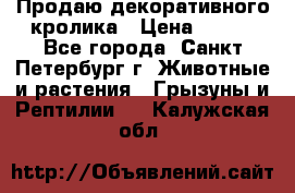 Продаю декоративного кролика › Цена ­ 500 - Все города, Санкт-Петербург г. Животные и растения » Грызуны и Рептилии   . Калужская обл.